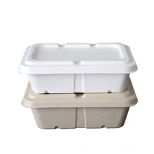 Wholesale Disposable Biodegradable Eco Natural Sugarcane Bagasse Fast Food Container Tray